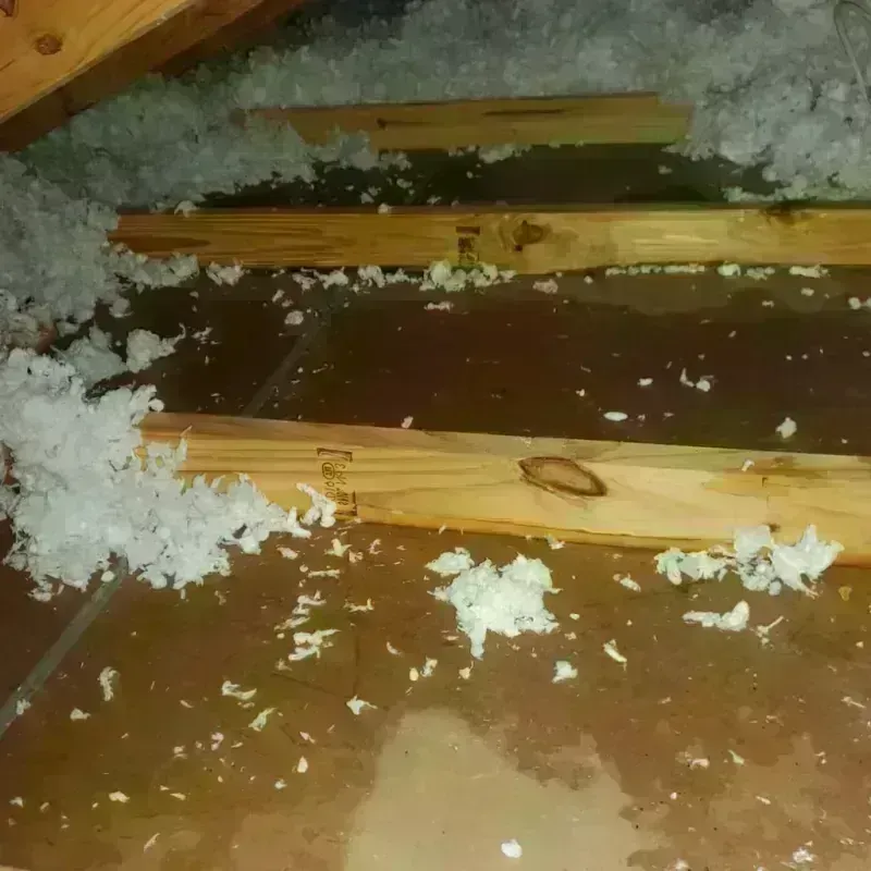 Attic Water Damage in Jackson County, OK