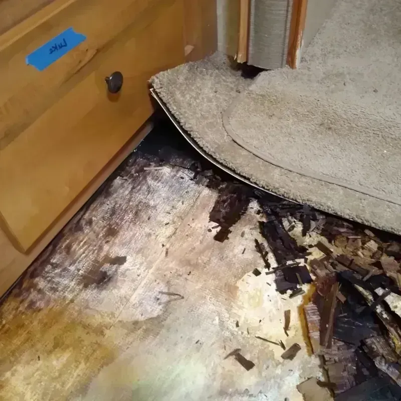 Wood Floor Water Damage in Jackson County, OK